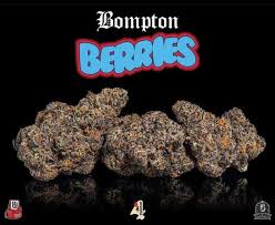 backpackboyz bompton berries