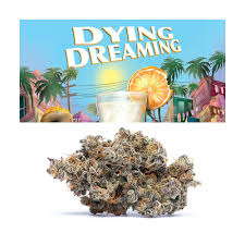 Dying Dreaming